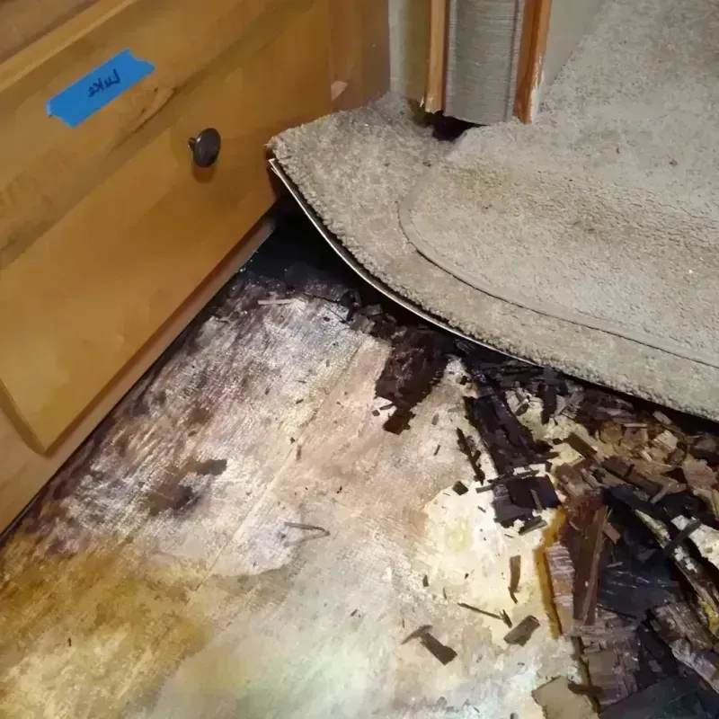 Wood Floor Water Damage in Auburndale, FL